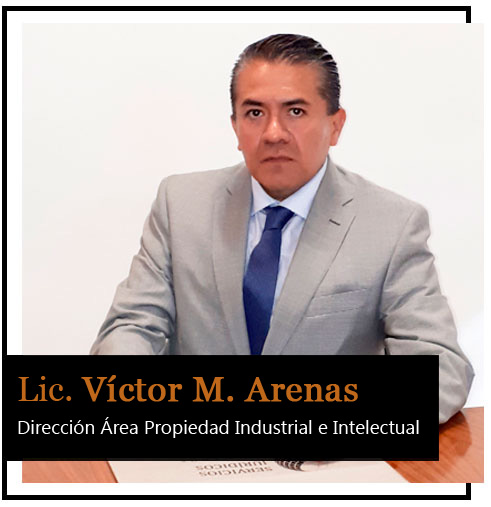 Lic. Victor Manuel Arenas González